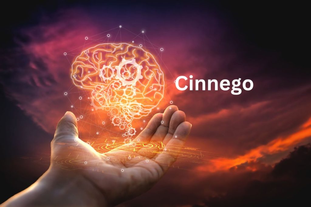 Technological Architecture: Behind Cinnego's Innovation